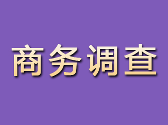 独山子商务调查